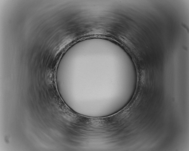 X0000102371258200808081145