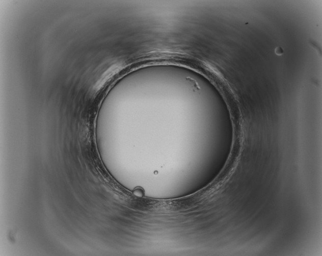 X0000102371259200808081145