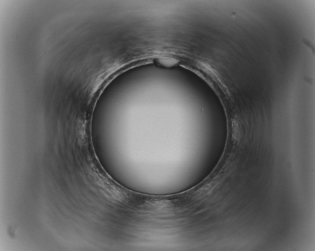 X0000102371260200808081145