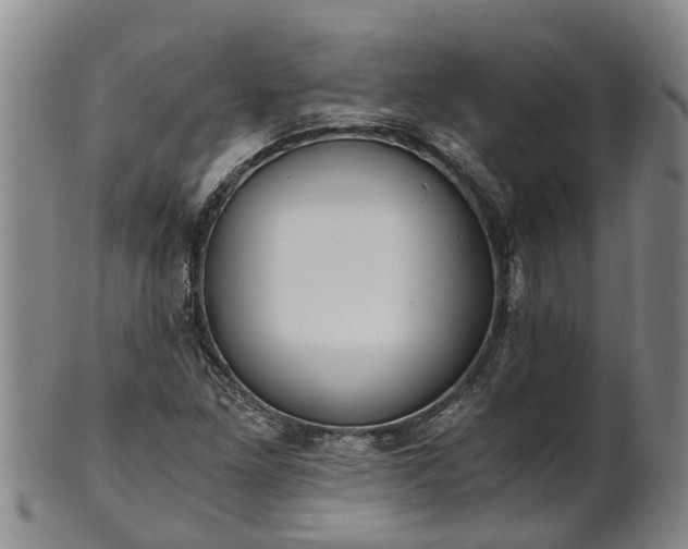 X0000102371261200808081145