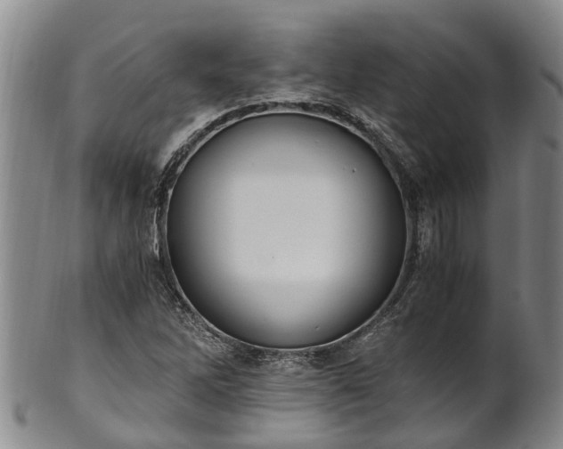 X0000102371262200808081145