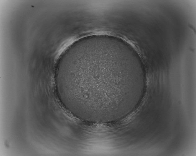 X0000102371263200808081145