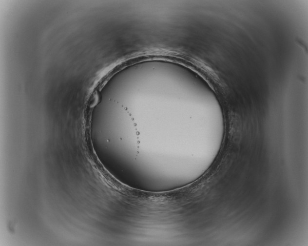 X0000102371264200808081145