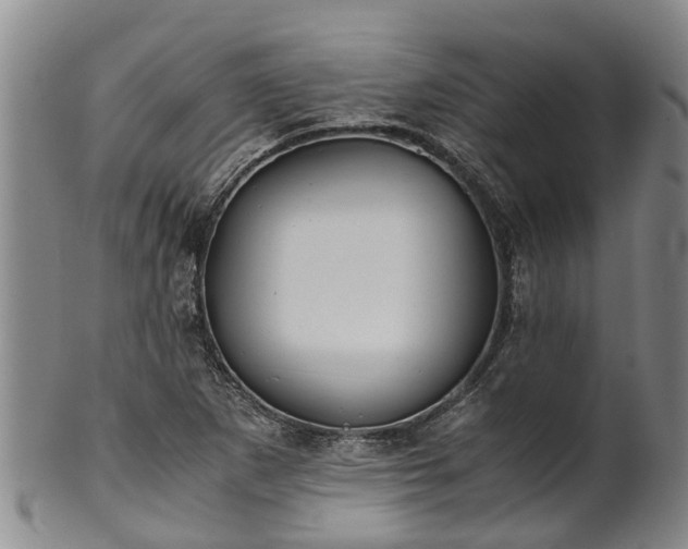 X0000102371265200808081145