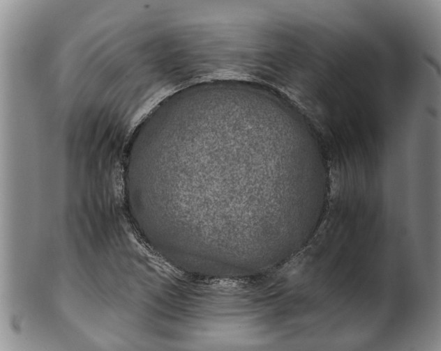 X0000102371266200808081145