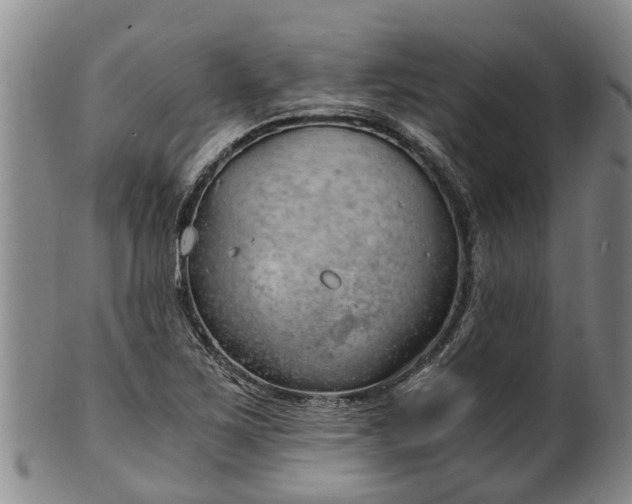 X0000102371267200808081145