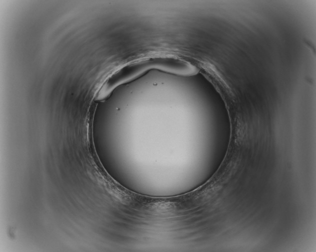 X0000102371268200808081145