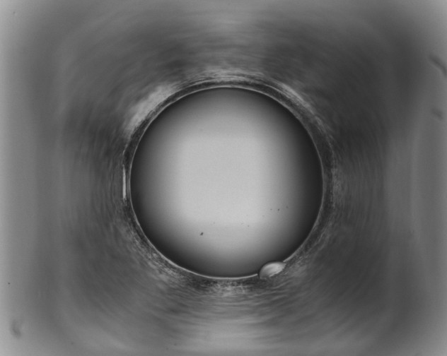 X0000102371269200808081145