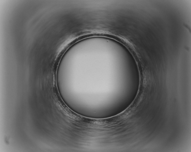 X0000102371271200808081144