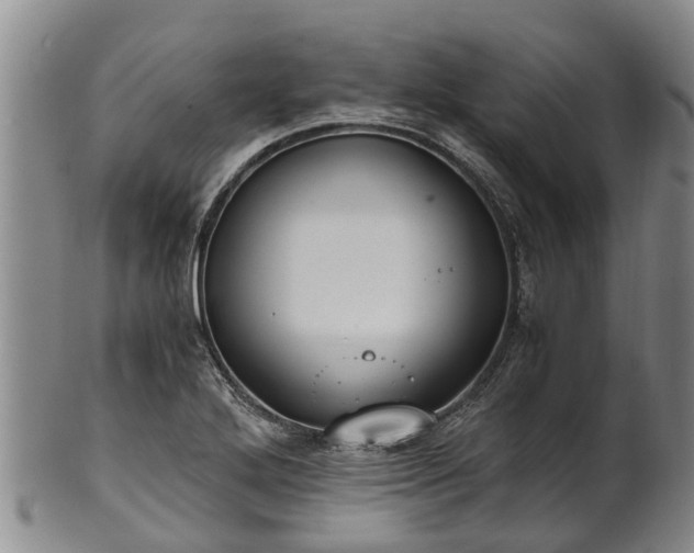 X0000102371272200808081144