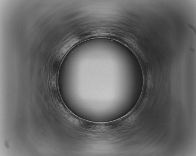 X0000102371273200808081144