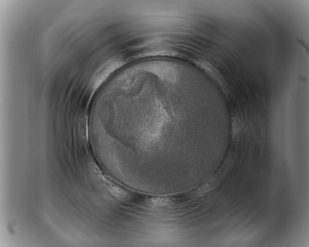 X0000102371274200808081144