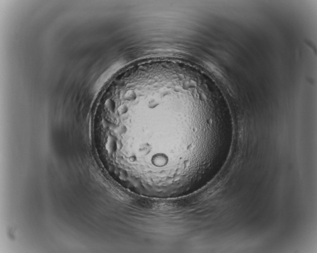 X0000102371275200808081144