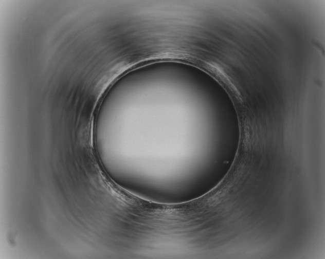 X0000102371276200808081144