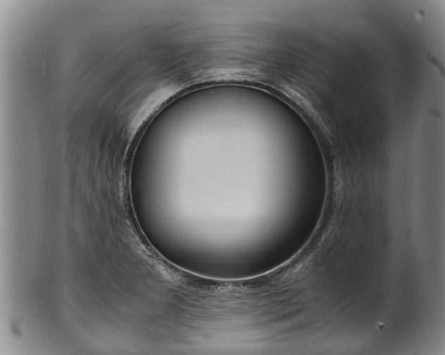 X0000102371277200808081144