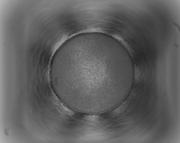 X0000102371278200808081144