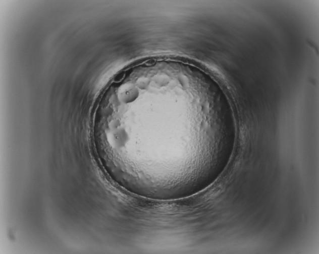 X0000102371279200808081144