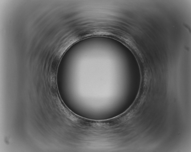 X0000102371281200808081144