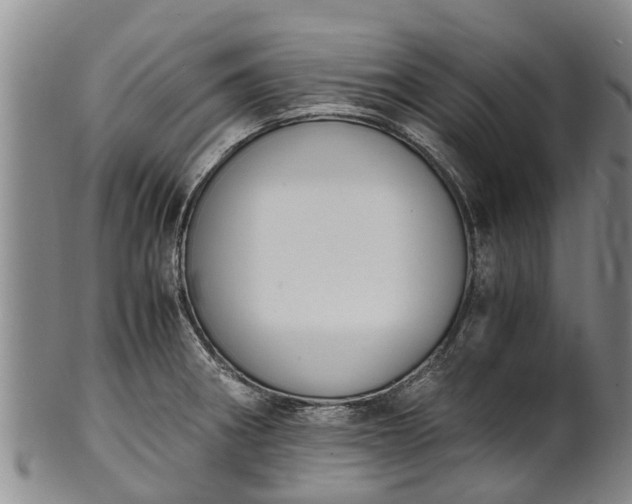 X0000102371282200808081144