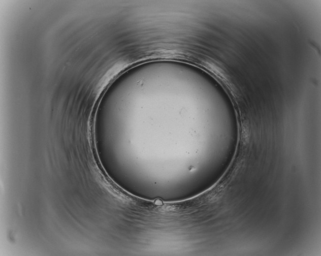 X0000102371283200808081144