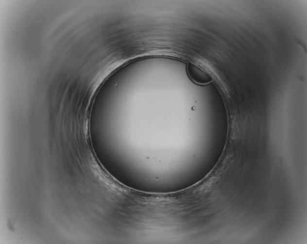 X0000102371284200808081144