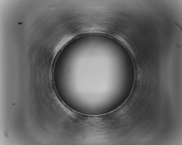 X0000102371285200808081144