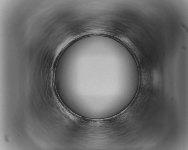 X0000102371286200808081144