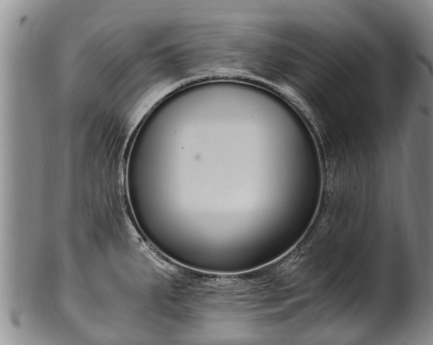 X0000102371287200808081144