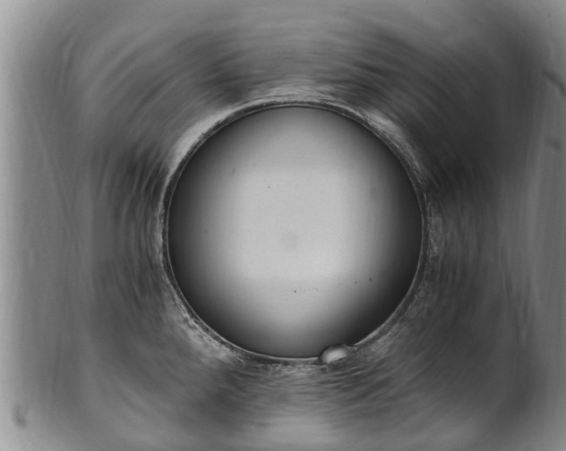 X0000102371288200808081144