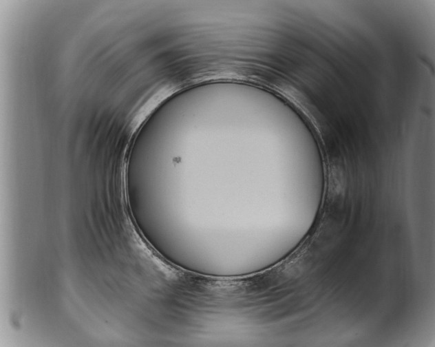 X0000102371290200808081144