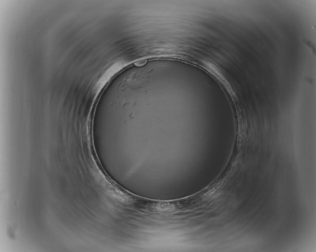 X0000102371291200808081144