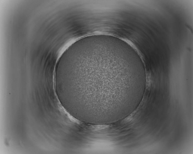 X0000102371294200808081144