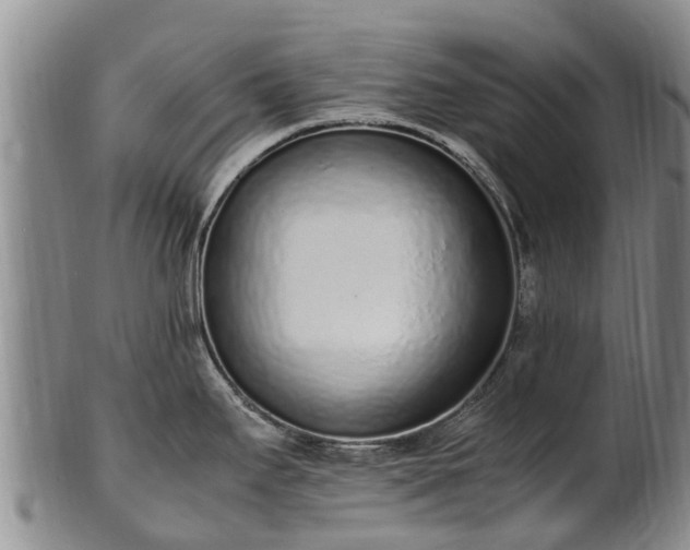 X0000102371295200808081144