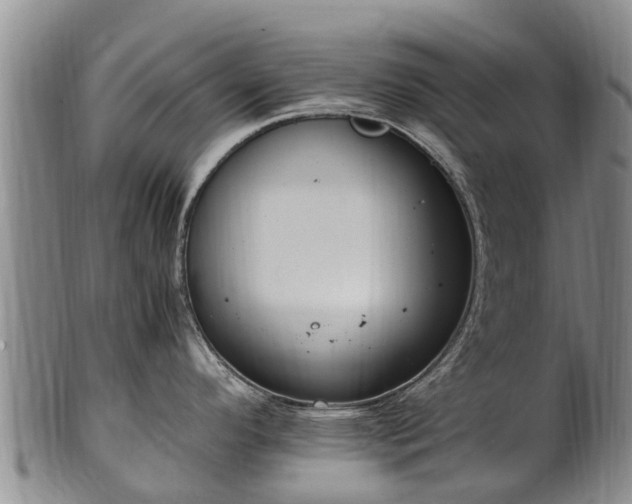 X0000102371296200808081144