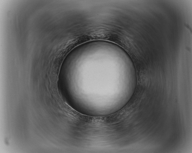 X0000102371297200808081143