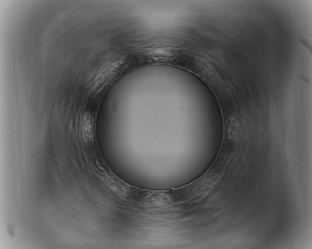 X0000102371298200808081143