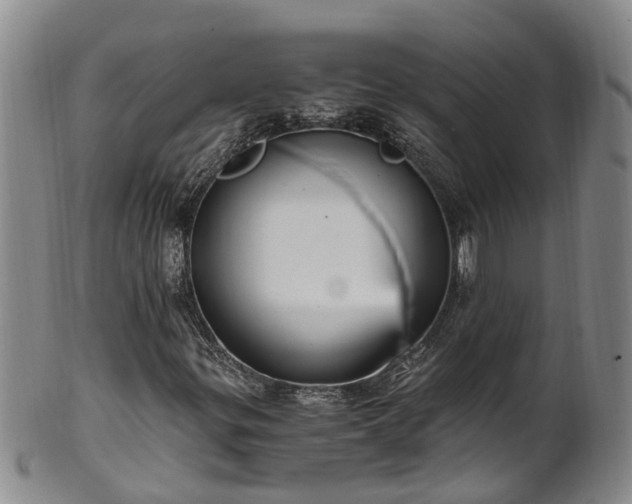 X0000102371299200808081143