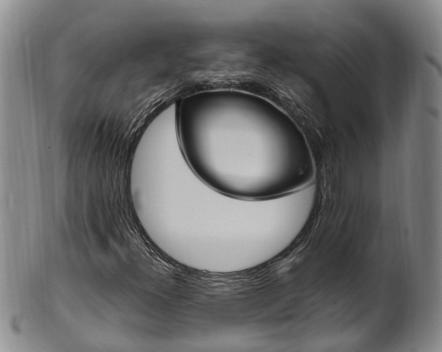 X0000102371300200808081143