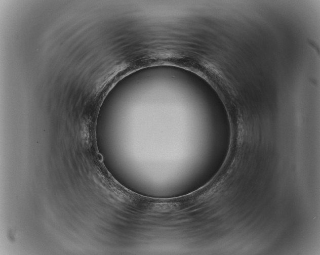 X0000102371305200808081144