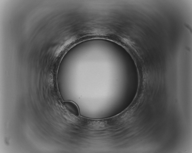 X0000102371307200808081144