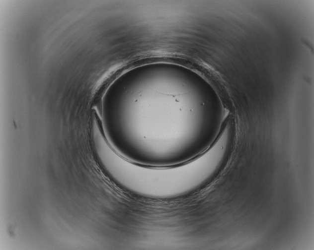 X0000102371314200808081144