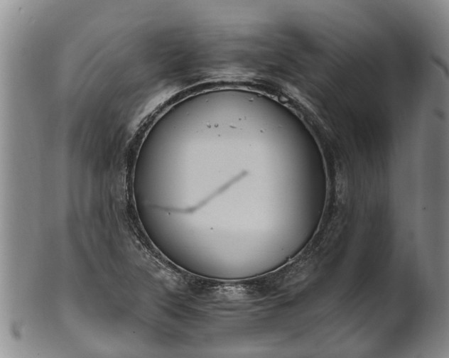 X0000102371315200808081144