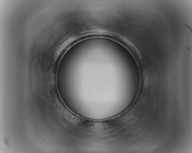 X0000102371318200808081144