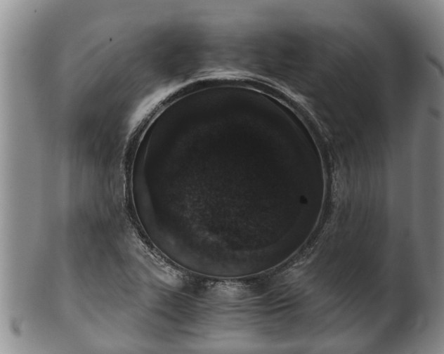 X0000102371319200808081144