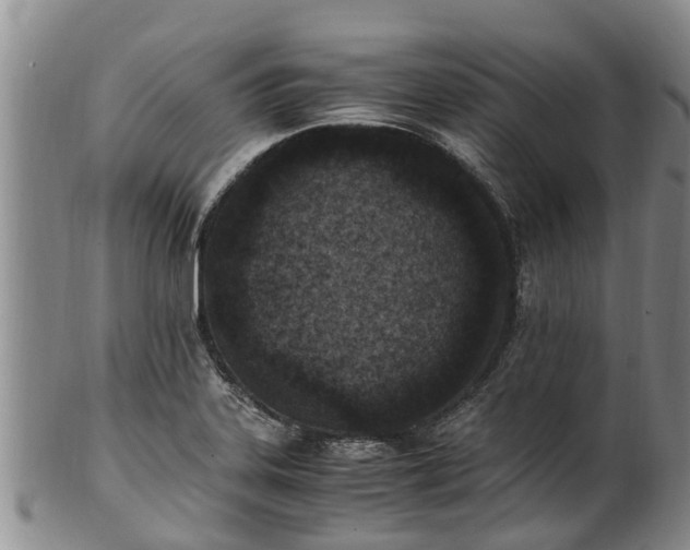 X0000102371323200808081144