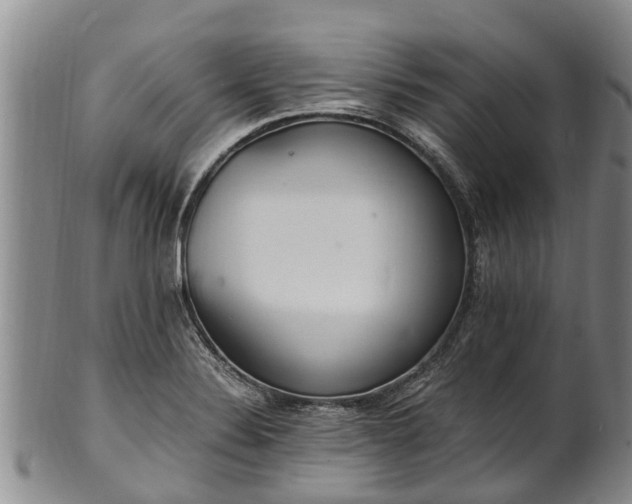 X0000102371324200808081144