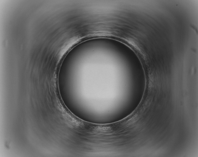 X0000102371325200808081144