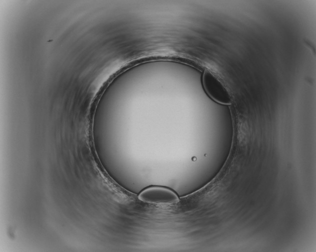 X0000102371326200808081144