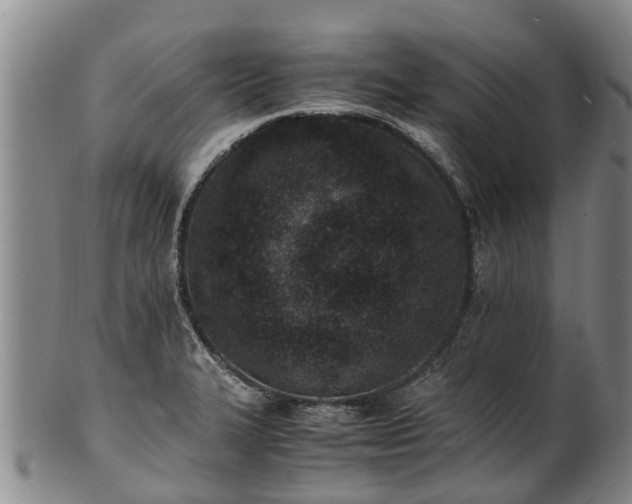 X0000102371327200808081144