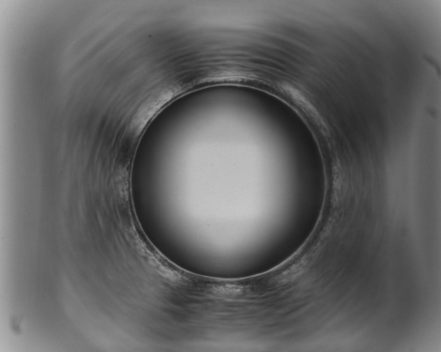 X0000102371329200808081144